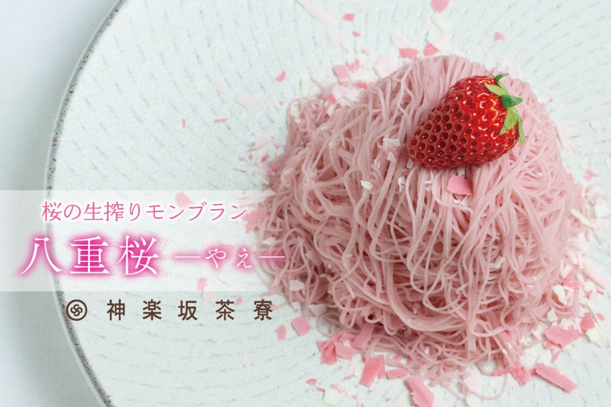 桜の生搾りモンブラン「八重桜～やえ～」販売のお知らせ | 神楽坂茶寮